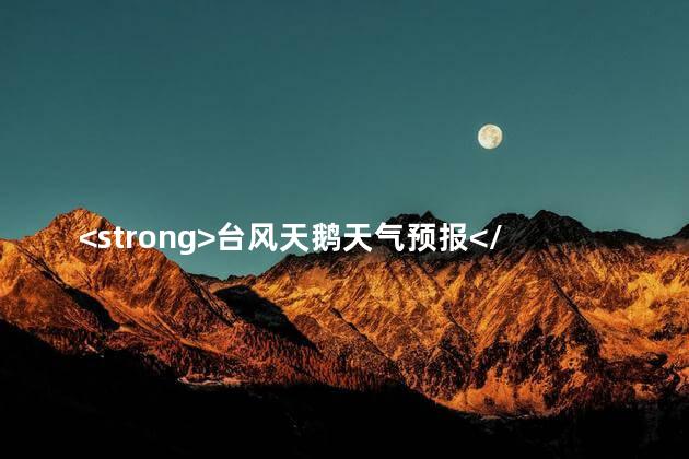 <strong>台风天鹅天气预报</strong>